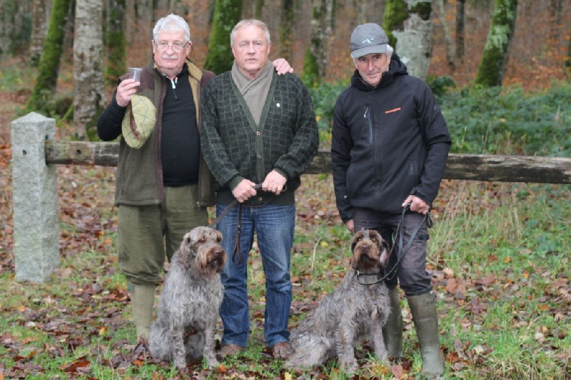 Concours Automne 2016